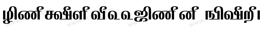NarkissTam Bold字体转换